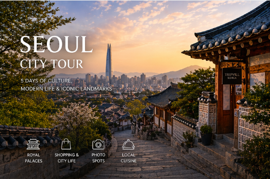 Seoul City Discovery